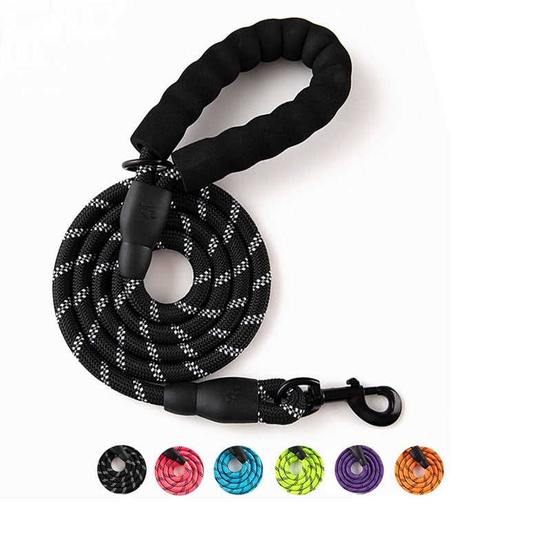 Premium Quality Nylon Leash